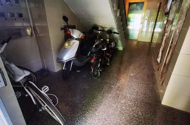 电动自行车锂电化、智能化趋势加速 两轮车企跨界新能源造车谋突围