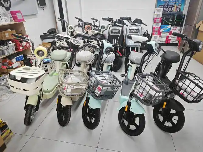 行业协会回应电动自行车新国标四大争议，记者探店发现：新车型供应有限 消费者看多买少